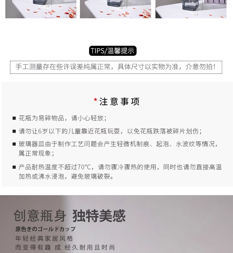 代发包邮大号玻璃花瓶轻奢复古透明水养龙柳马醉木摆件客厅插花详情4