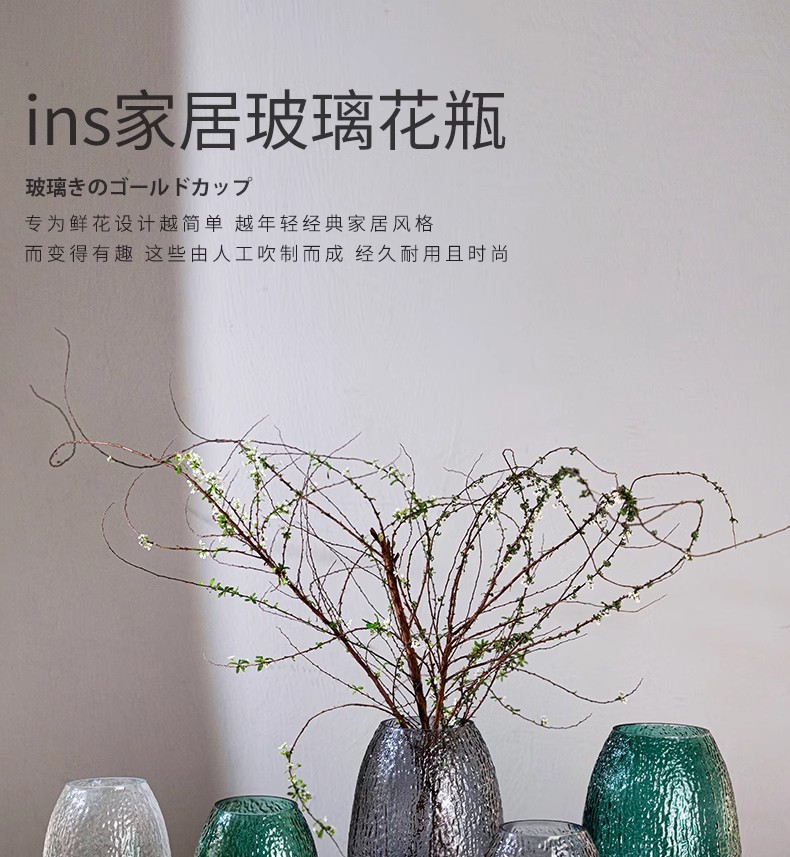 代发包邮大号玻璃花瓶轻奢复古透明水养龙柳马醉木摆件客厅插花详情1