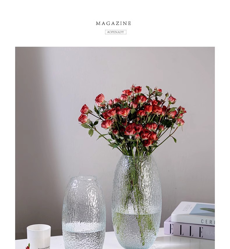 代发包邮大号玻璃花瓶轻奢复古透明水养龙柳马醉木摆件客厅插花详情6