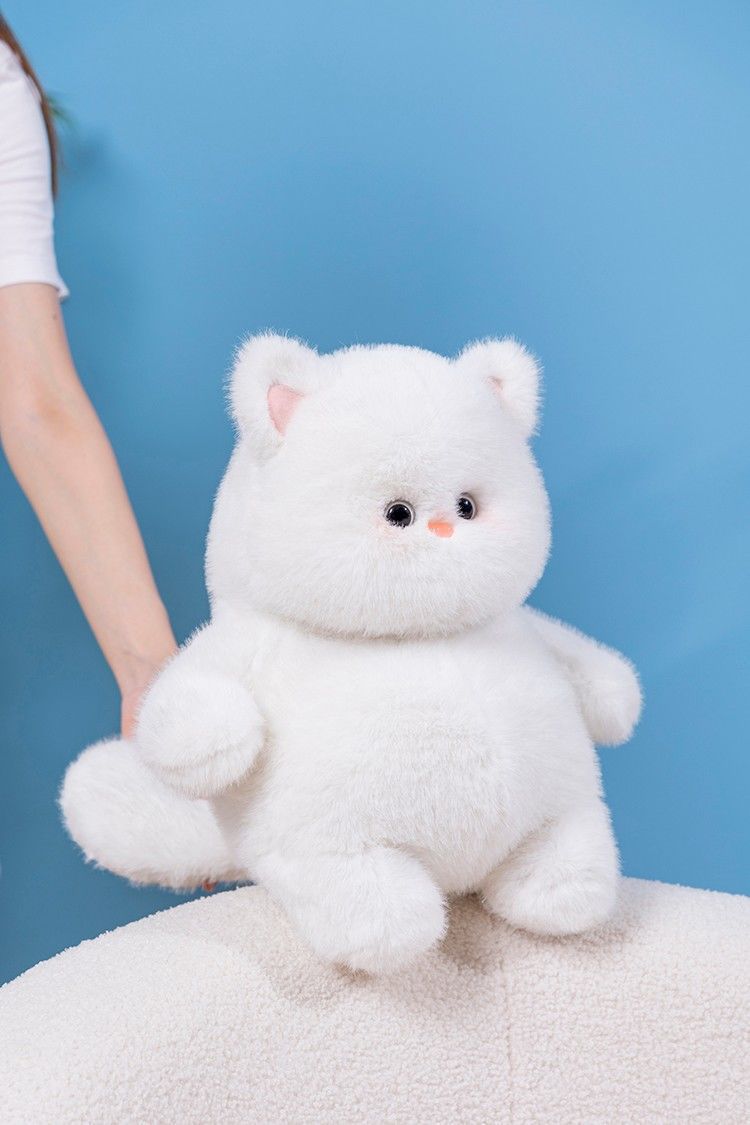 跨境新款毛绒玩具公仔白色猫咪玩偶喵它崽可爱软萌猫咪抱枕生日详情10