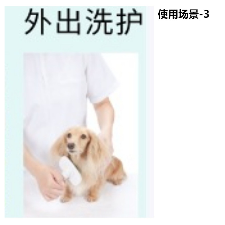 猫咪航空箱宠物航空箱狗笼便携式热销款猫包宠物用品批发宠物狗狗详情6