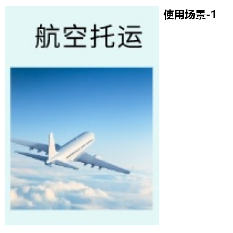 猫咪航空箱宠物航空箱狗笼便携式热销款猫包宠物用品批发宠物狗狗详情4