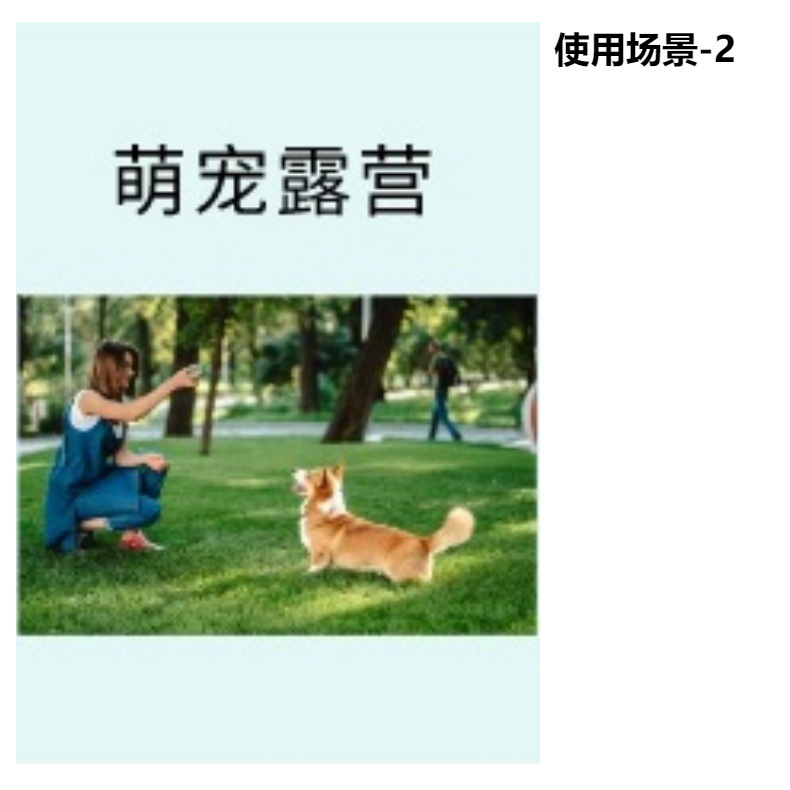 猫咪航空箱宠物航空箱狗笼便携式热销款猫包宠物用品批发宠物狗狗详情5