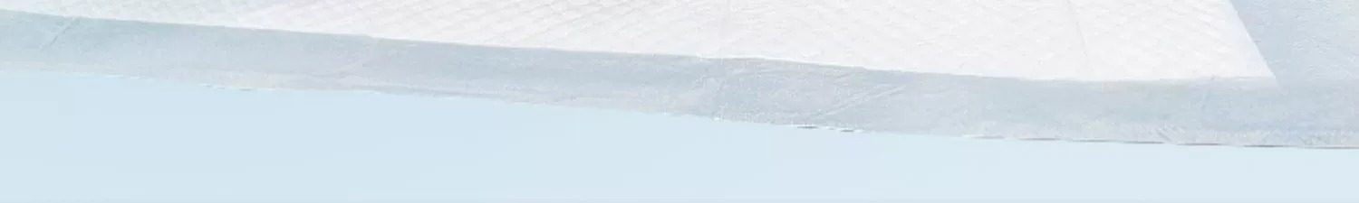 狗狗尿垫加厚除臭吸水尿纸宠物尿垫泰迪尿不湿尿布隔尿垫定制批发详情2