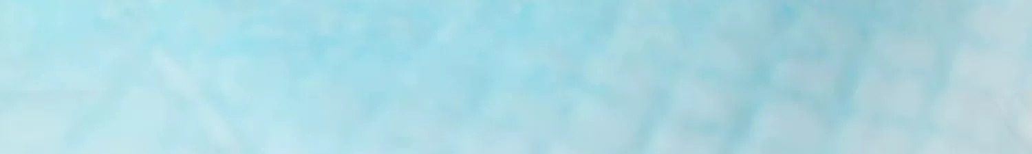 狗狗尿垫加厚除臭吸水尿纸宠物尿垫泰迪尿不湿尿布隔尿垫定制批发详情14