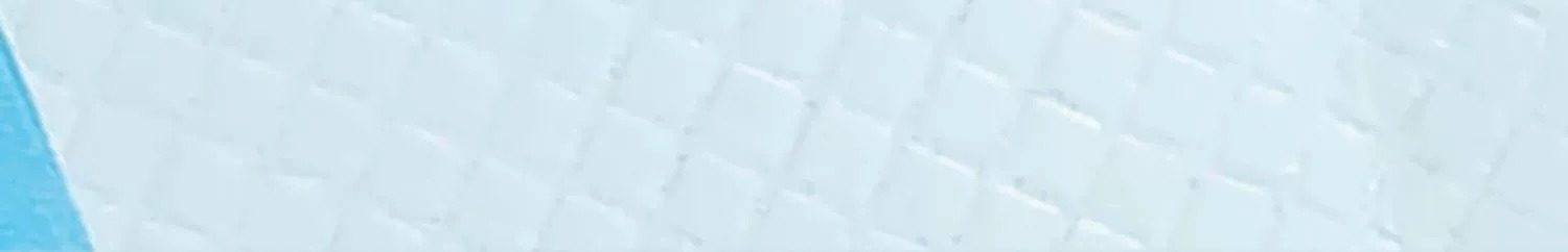 狗狗尿垫加厚除臭吸水尿纸宠物尿垫泰迪尿不湿尿布隔尿垫定制批发详情6