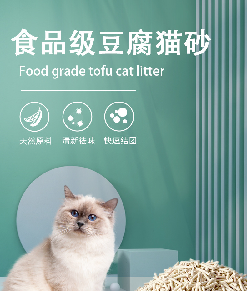 绿茶味嫩豆腐展示盒 豆腐制品原料展示盒 1000g详情1