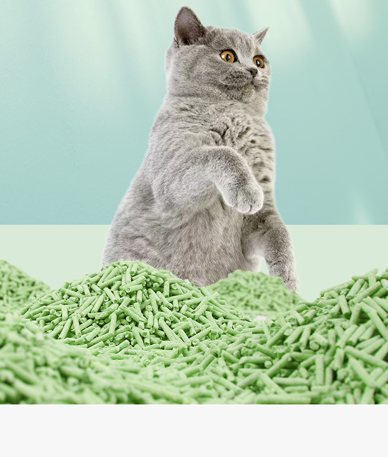 绿茶味嫩豆腐展示盒 豆腐制品原料展示盒 1000g详情3