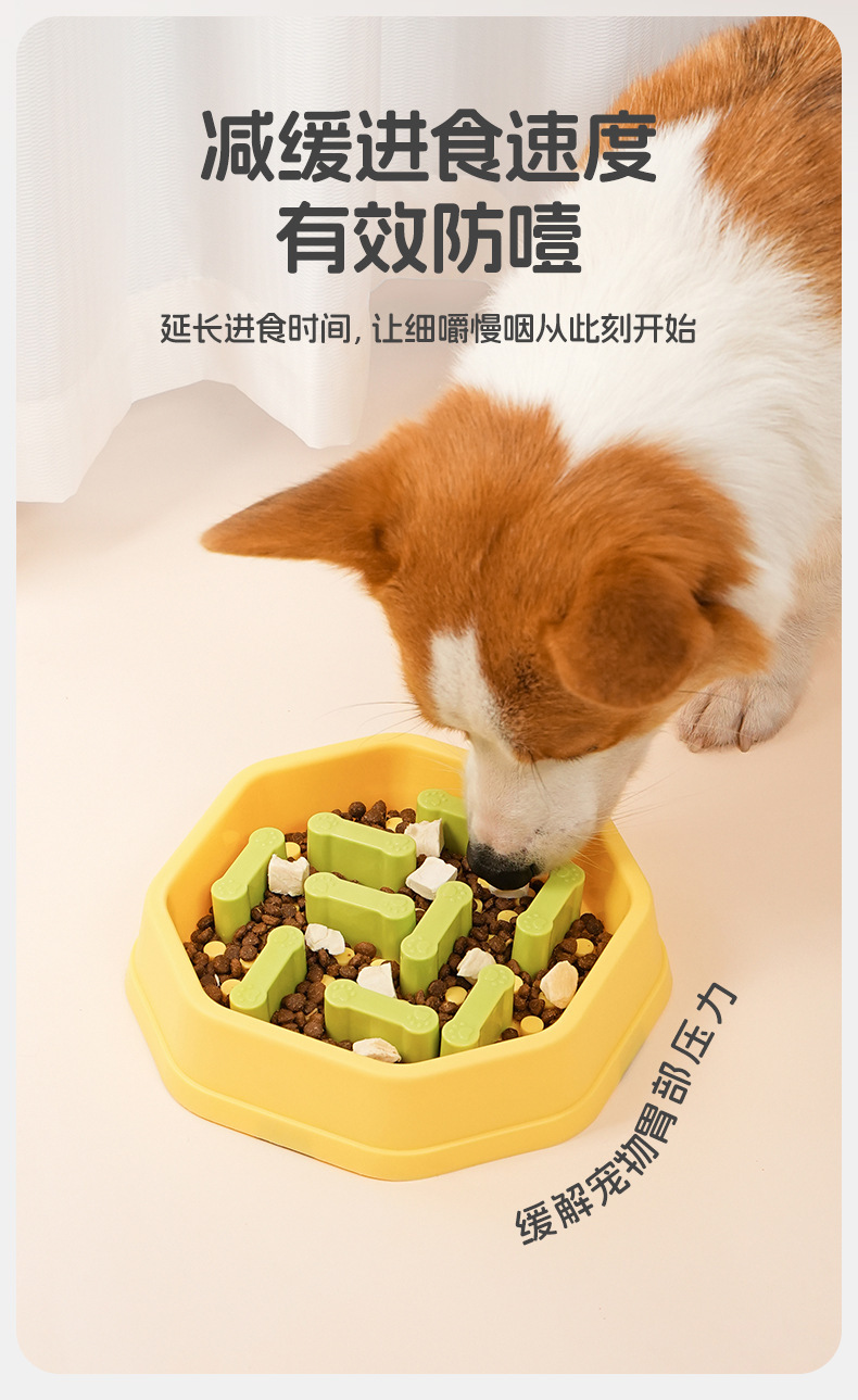 智能投喂器慢食碗宠物用品猫碗狗碗便携出行装详情5