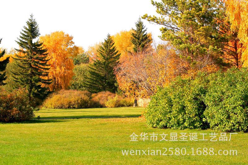 Pearl cotton sticks, EPE foam sticks, hollow cotton, solid, hollow, multiple models supplied by the manufacturer, with color options available pic 17