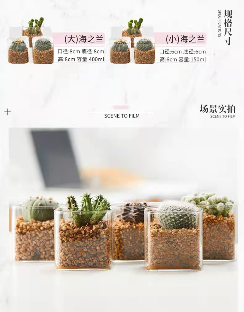 现代简约透明玻璃花瓶多肉仙人掌水培植物花盆方形园艺生态瓶批发详情2