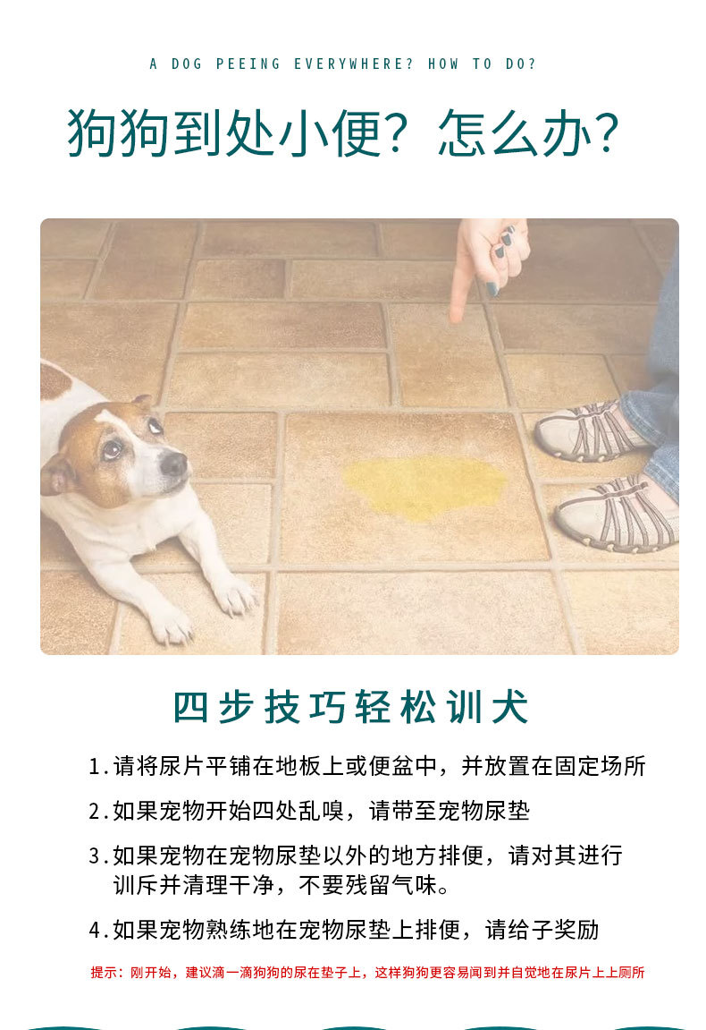 Pet urinators, reusable absorbent dog urinators, training dog diapers, waterproof washable diapers, dog, rabbit and cat diapers pic 3