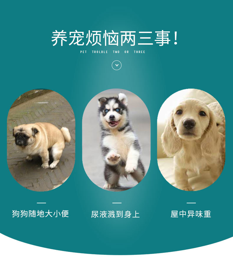 Pet urinators, reusable absorbent dog urinators, training dog diapers, waterproof washable diapers, dog, rabbit and cat diapers pic 2