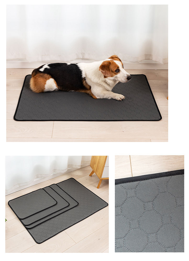 Pet urinators, reusable absorbent dog urinators, training dog diapers, waterproof washable diapers, dog, rabbit and cat diapers pic 13