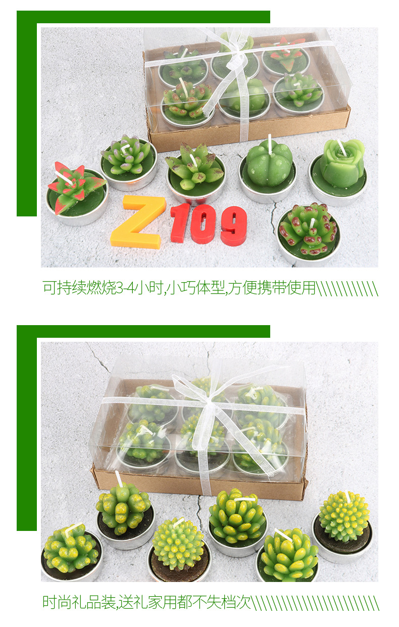 跨境批发圣坤多肉植物仙人掌蜡烛 6只装生日布置工艺蜡烛花形蜡烛详情6
