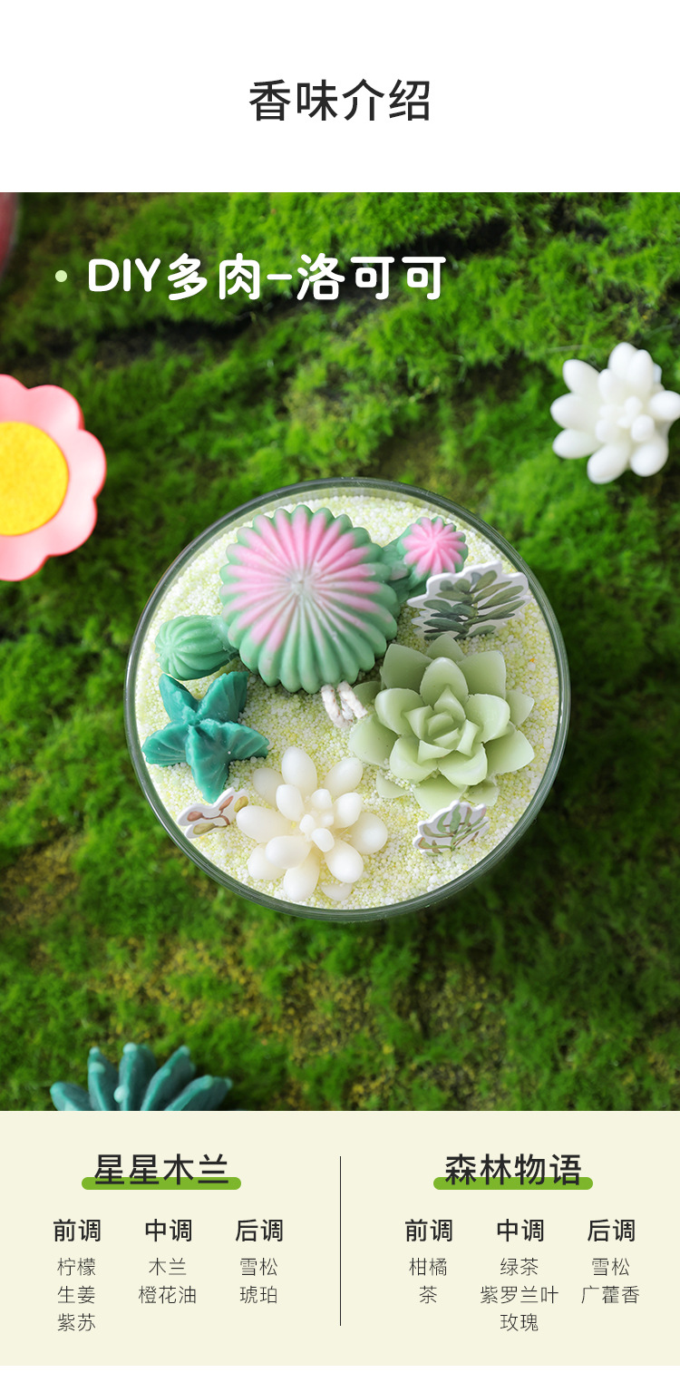 粉色多肉植物玻璃容器陶瓷花盆摆件多肉花盆工艺品详情8