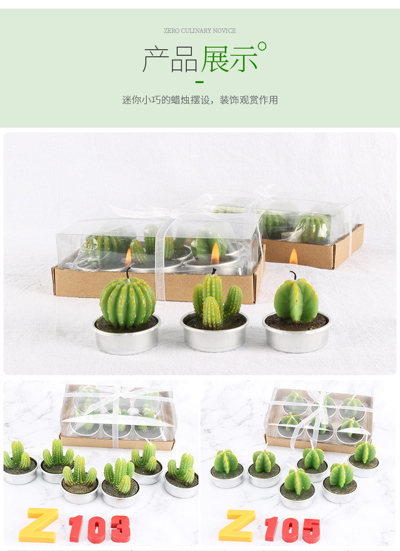 跨境批发圣坤多肉植物仙人掌蜡烛 6只装生日布置工艺蜡烛花形蜡烛详情7