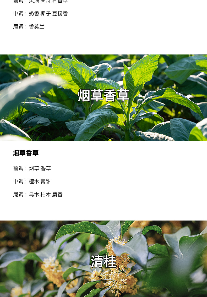 新款陶瓷杯北欧简约高级植物精油香氛大豆蜡伴手礼布置香薰蜡烛详情36