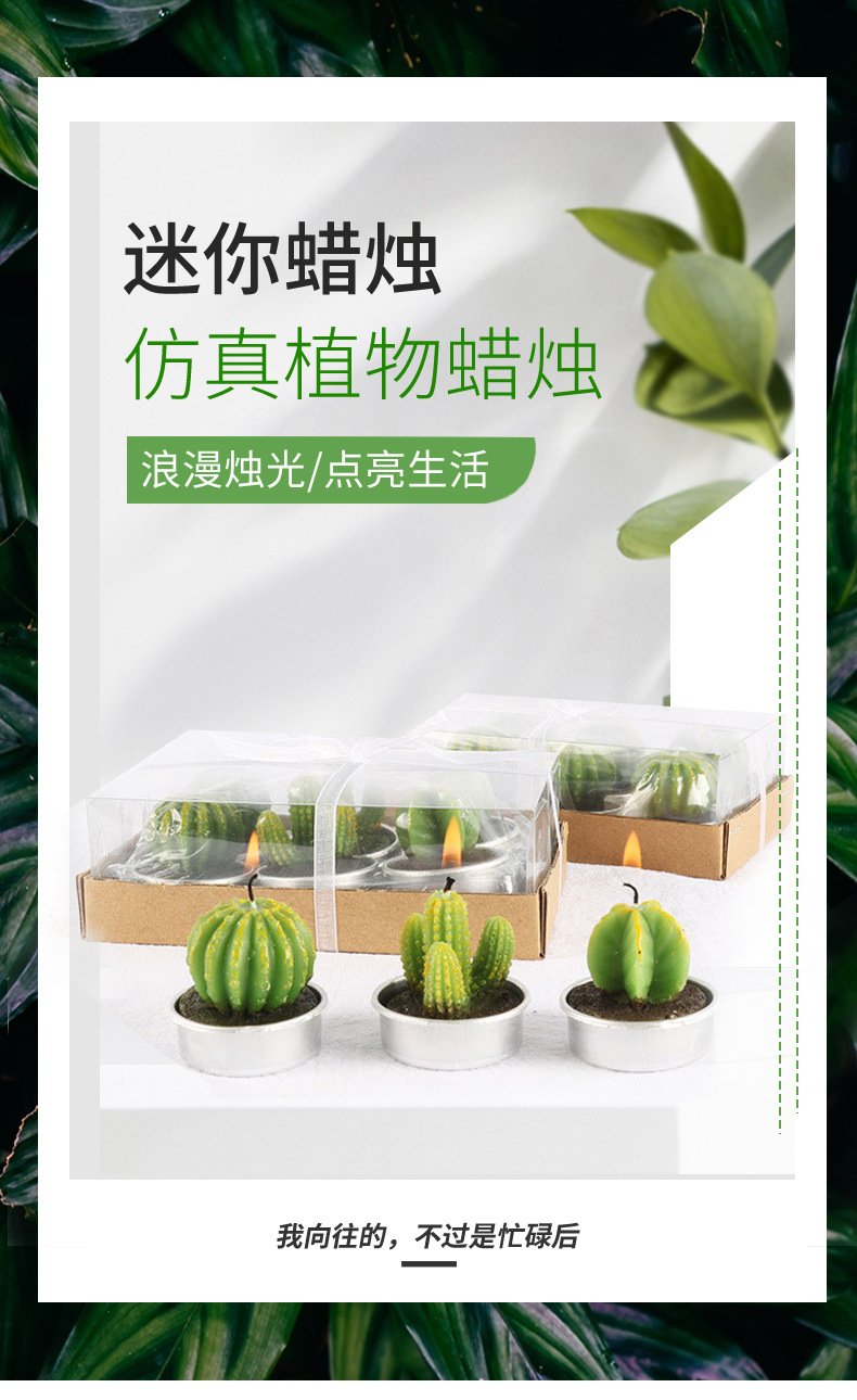 跨境批发圣坤多肉植物仙人掌蜡烛 6只装生日布置工艺蜡烛花形蜡烛详情1