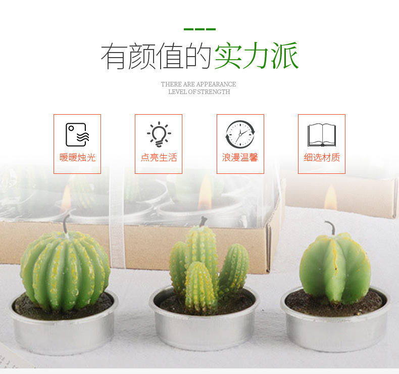 跨境批发圣坤多肉植物仙人掌蜡烛 6只装生日布置工艺蜡烛花形蜡烛详情2