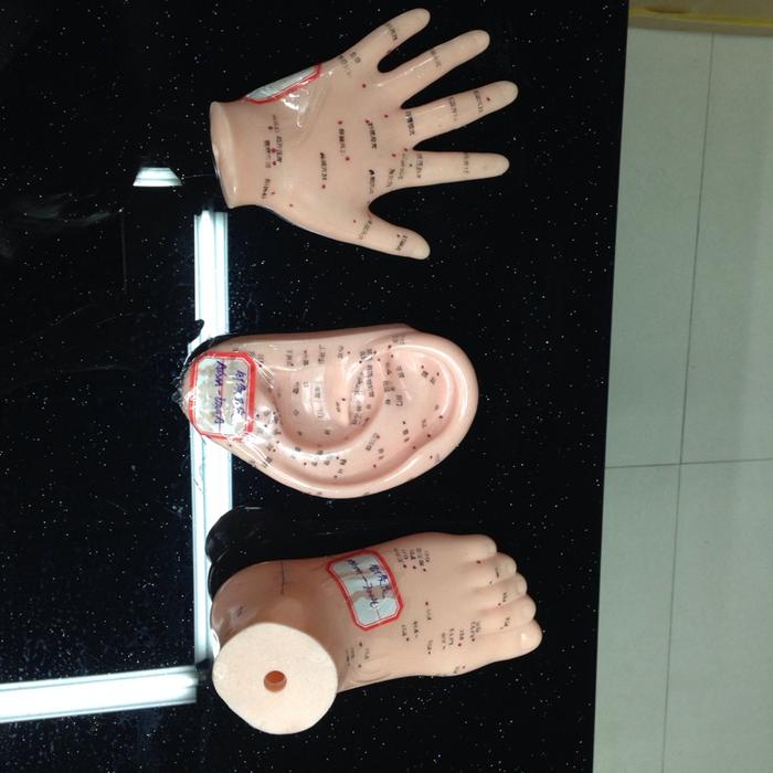 Medical teaching equipment, human acupuncture point models, male and female acupuncture eardrum, foot mask and hand models pic 3