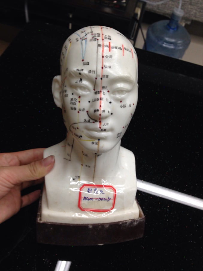 Medical teaching equipment, human acupuncture point models, male and female acupuncture eardrum, foot mask and hand models pic 1