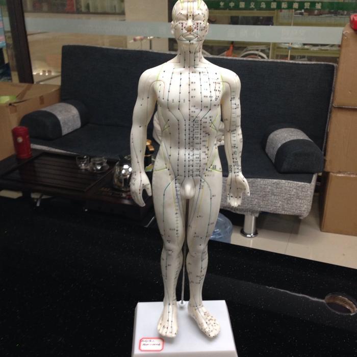 Medical teaching equipment, human acupuncture point models, male and female acupuncture eardrum, foot mask and hand models pic 4
