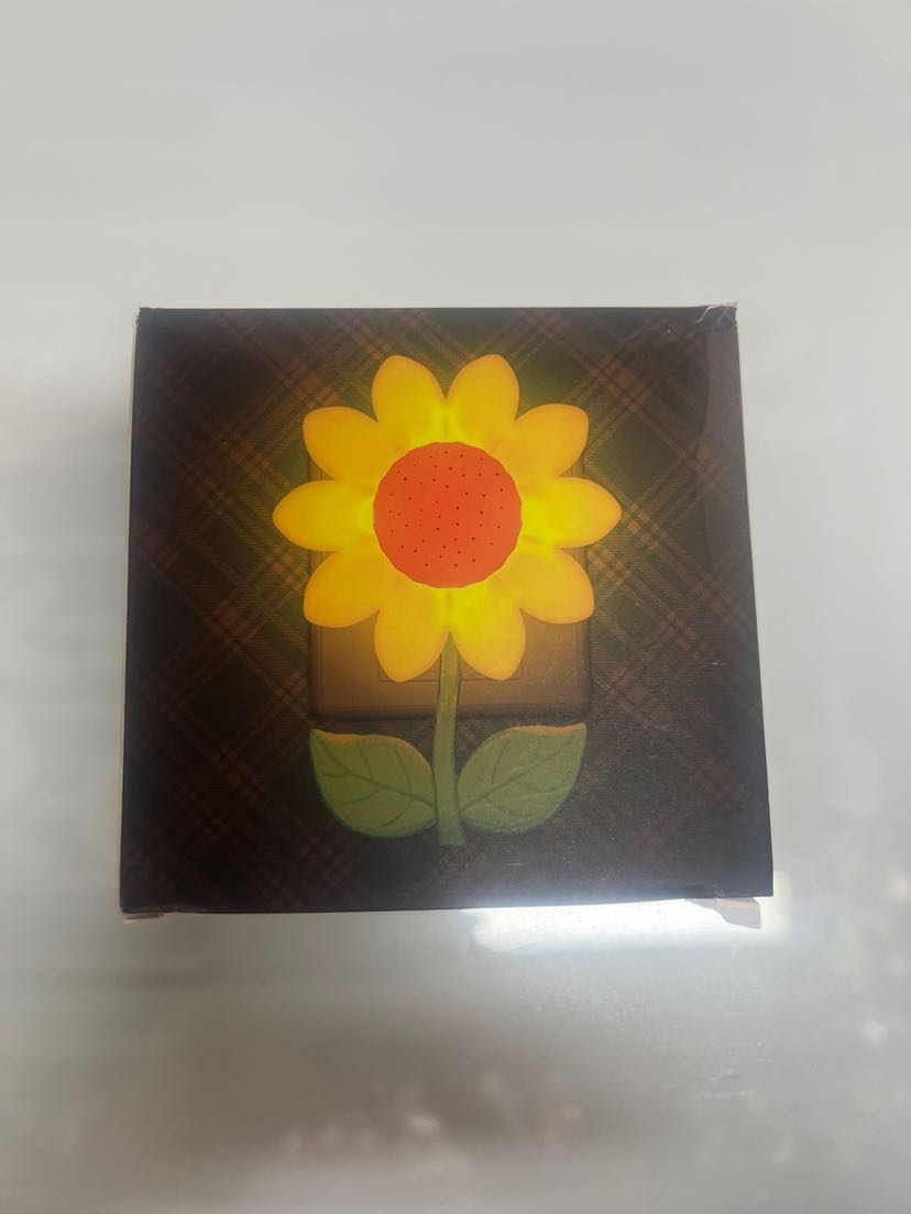 跨境欧规LED小夜灯开关光控插座节能婴儿喂奶卧室节能家用床头灯详情5