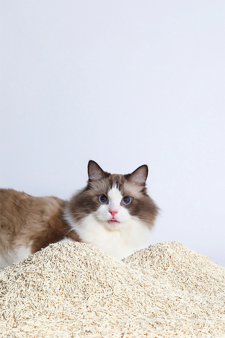 豆腐猫砂混合砂结团吸水豆腐混合活性炭猫咪用品厂家贴牌代工批发详情1