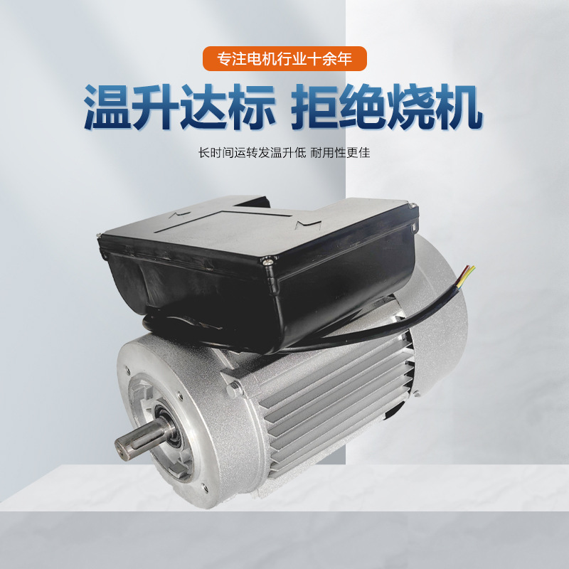Single-phase aluminum shell double capacitor stretch type customized boiler fan oven equipment matching pure copper new material motor pic 3
