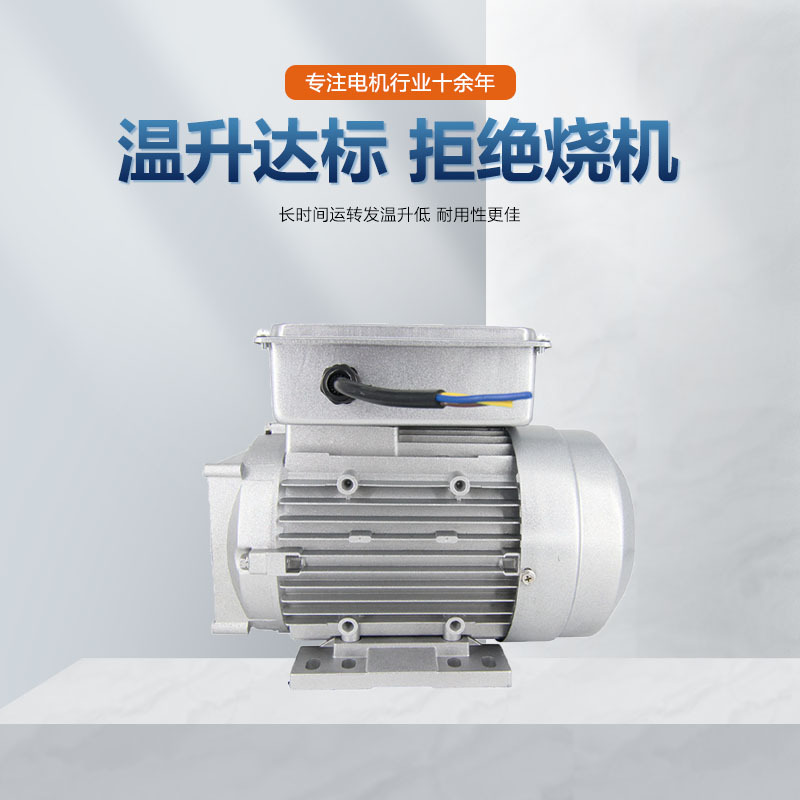3C-certified single-phase aluminum shell power unit motor with SI duty 3000W all-copper wire new material pic 1