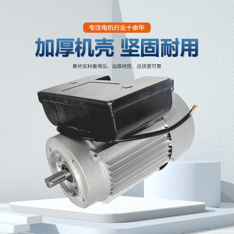 Single-phase aluminum shell double capacitor stretch type customized boiler fan oven equipment matching pure copper new material motor pic 1