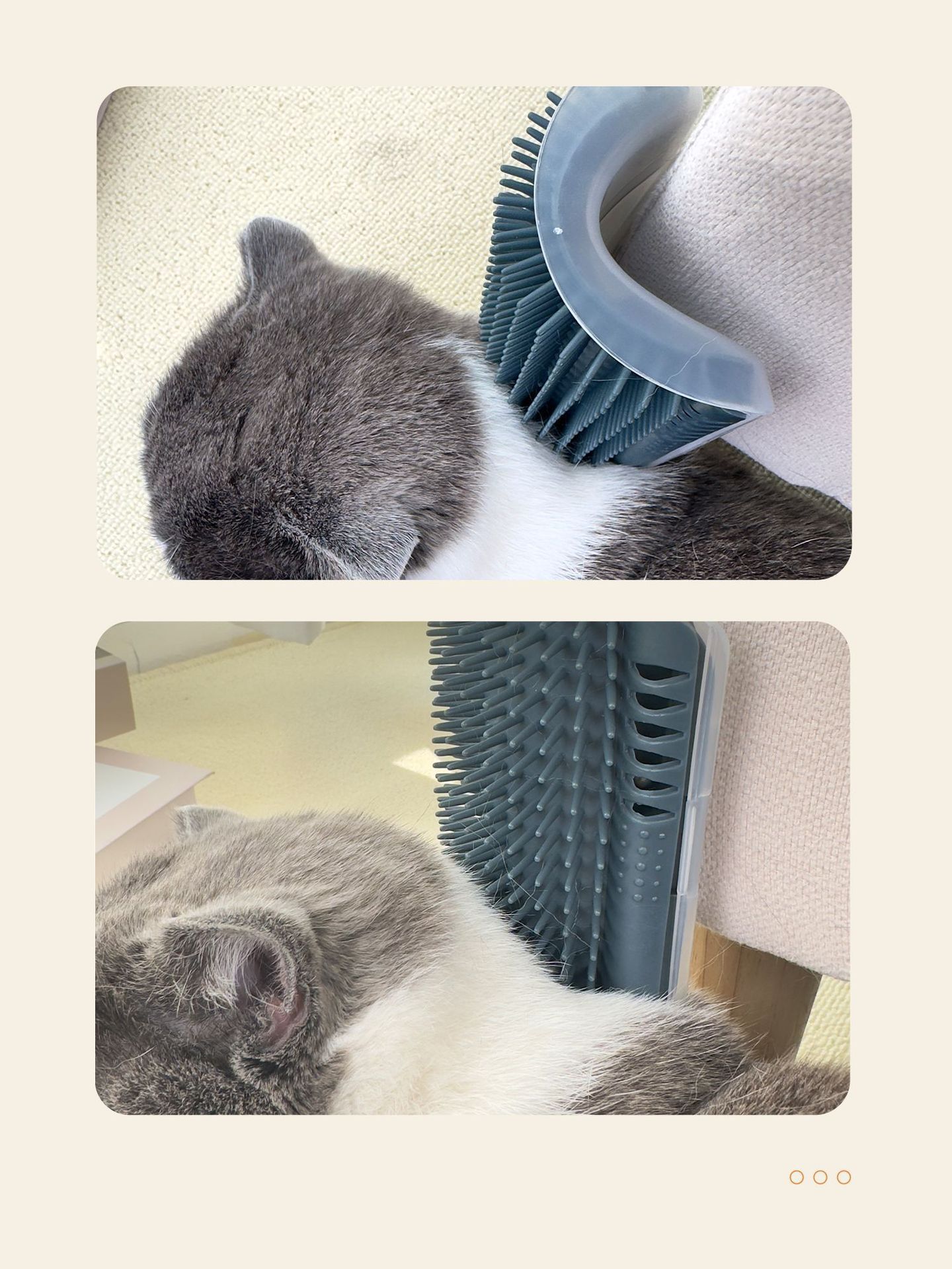猫咪蹭痒神器猫梳子猫咪按摩刷墙角止痒硅胶加猫薄荷宠物用品详情5
