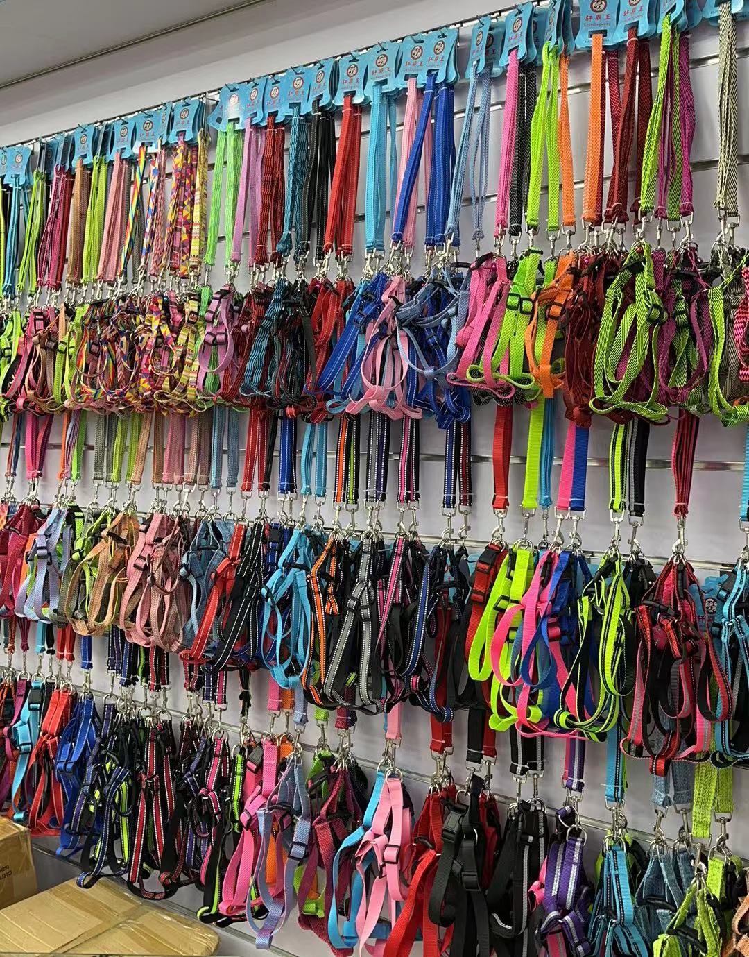宠物用品贴布项圈狗狗脖圈猫咪颈圈泰迪中小型遛狗绳狗绳狗链详情24