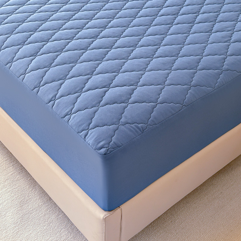 Direct sales for foreign trade, cross-border exclusive supply and wholesale of waterproof cotton-padded beds, solid color thickened matte MATS, Dream protective beds pic 7