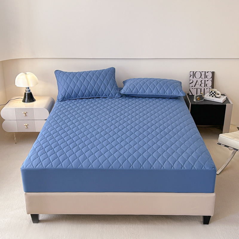 Direct sales for foreign trade, cross-border exclusive supply and wholesale of waterproof cotton-padded beds, solid color thickened matte MATS, Dream protective beds pic 2