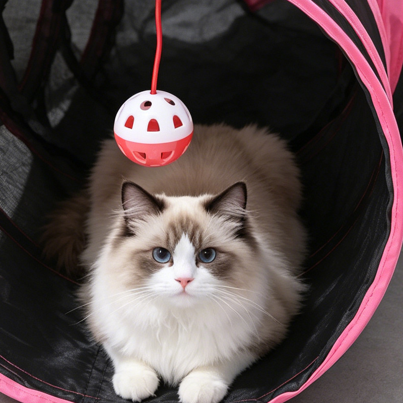 Cross-border Rainbow T-shaped three-way cat channel, fur ball Cat toy track, Pet toys and supplies, tumbling dragon channel pic 9