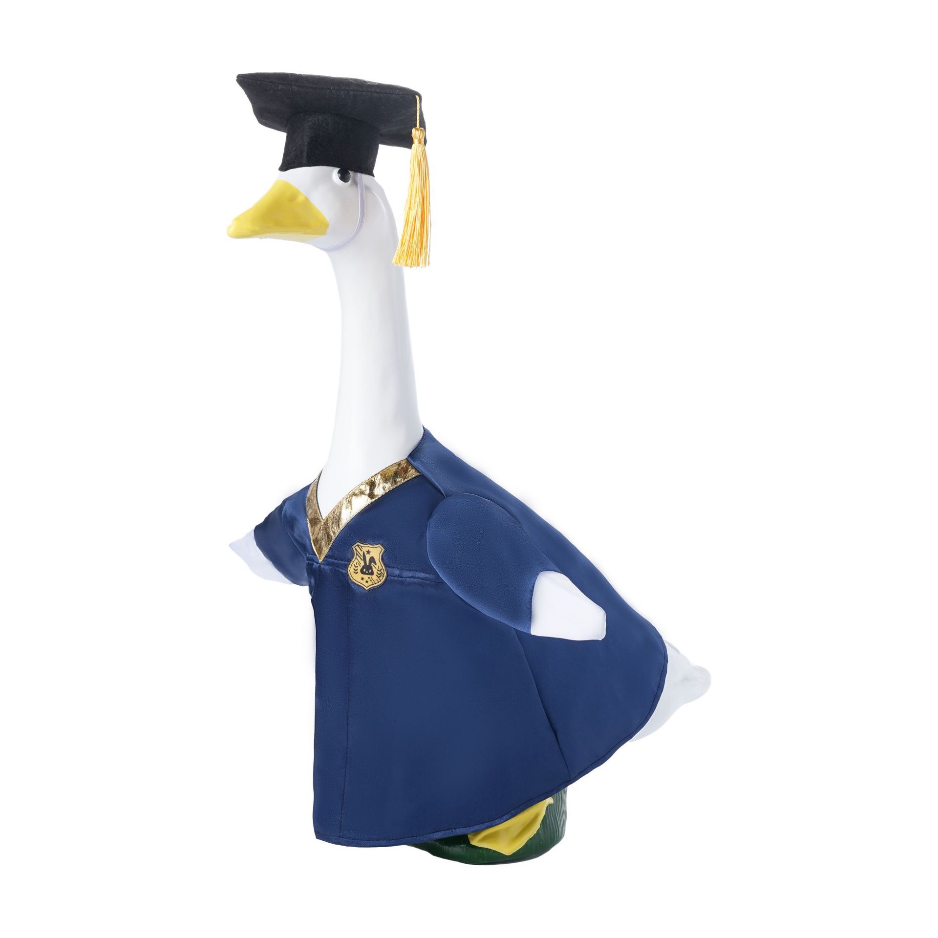 2026 New graduation Season porch goose clothing, interesting bachelor's gown, hat set, goose clothing manufacturer cross-border wholesale Application Scenario