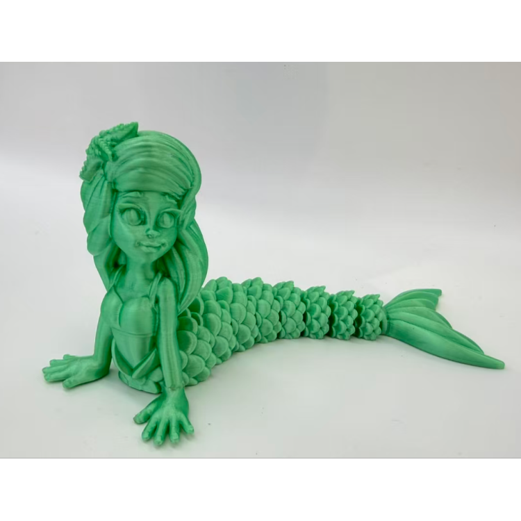 动植物/仿真模型实物图