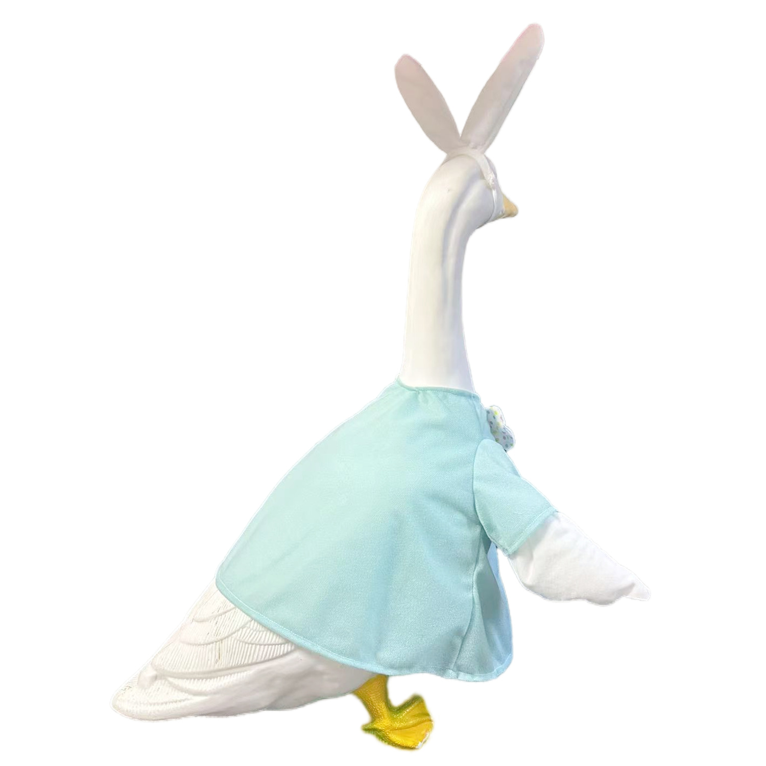 import细节图