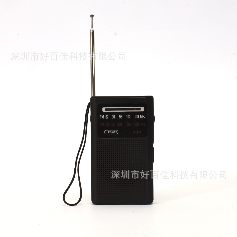 Portable radio for foreign trade FM/AM pointer frequency modulation two-band dry battery radio DSP chip Item Picture