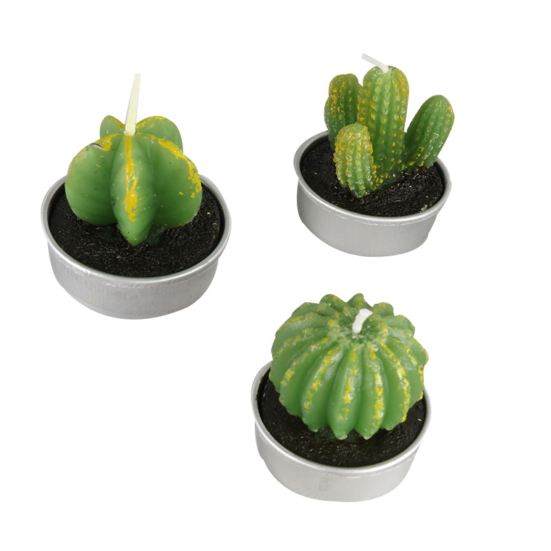 Amazon's new craft smokeless candle, a simulation of succulent plants and cactus candles, is available for wholesale from the manufacturer Application Scenario