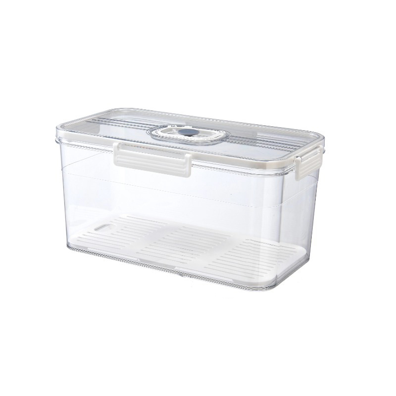 Refrigerator draining storage box, PET kitchen timing freezing sealed large-capacity storage box, plastic transparent fresh-keeping box Application Scenario