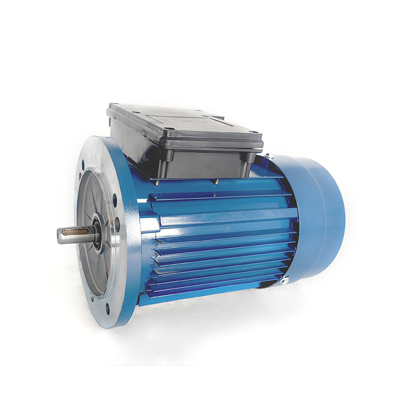 Single-phase aluminum shell double capacitor stretch type customized boiler fan oven equipment matching pure copper new material motor Item Picture
