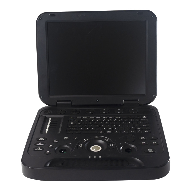 Veterinary B-ultrasound machine PMS-V15 Daily black-and-white B-ultrasound diagnostic instrument for animal pregnancy Application Scenario