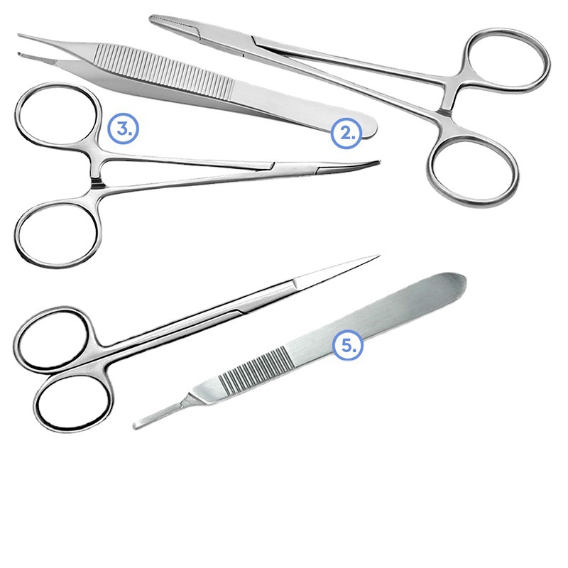 17 biological dissection tools, suturing silicone thread, experimental equipment, stainless steel scissors, tweezers, knife handles for teaching purposes Item Picture