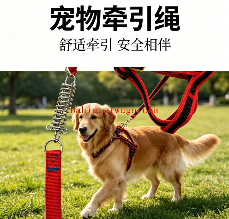 狗狗牵引实物图