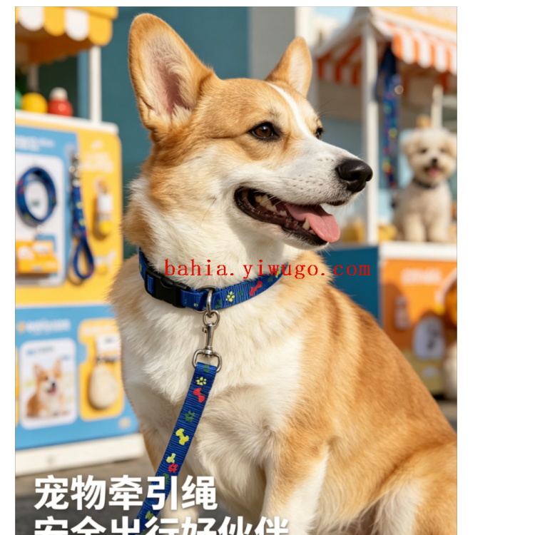 狗狗牵引实物图