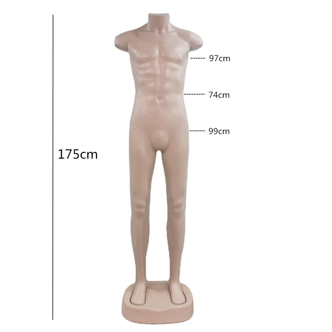 塑料男模特无头无手欧美肌肉翘臀防摔服装道具假人体男模厂家直销