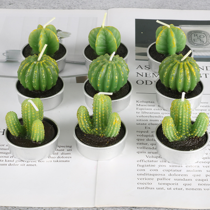 Amazon's new craft smokeless candle, a simulation of succulent plants and cactus candles, is available for wholesale from the manufacturer full figure